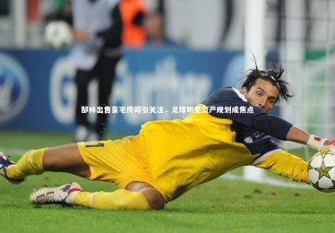 九游体育官网_郜林出售豪宅传闻引关注，足球明星资产规划成焦点