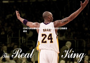 【九游体育官方入口】C9与TSM决赛对决，Sneaky称队伍过去几周疯狂成长