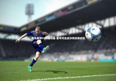 【九游体育】足协晨获FIFA确认函 塞鸟可出战沙特关键战役